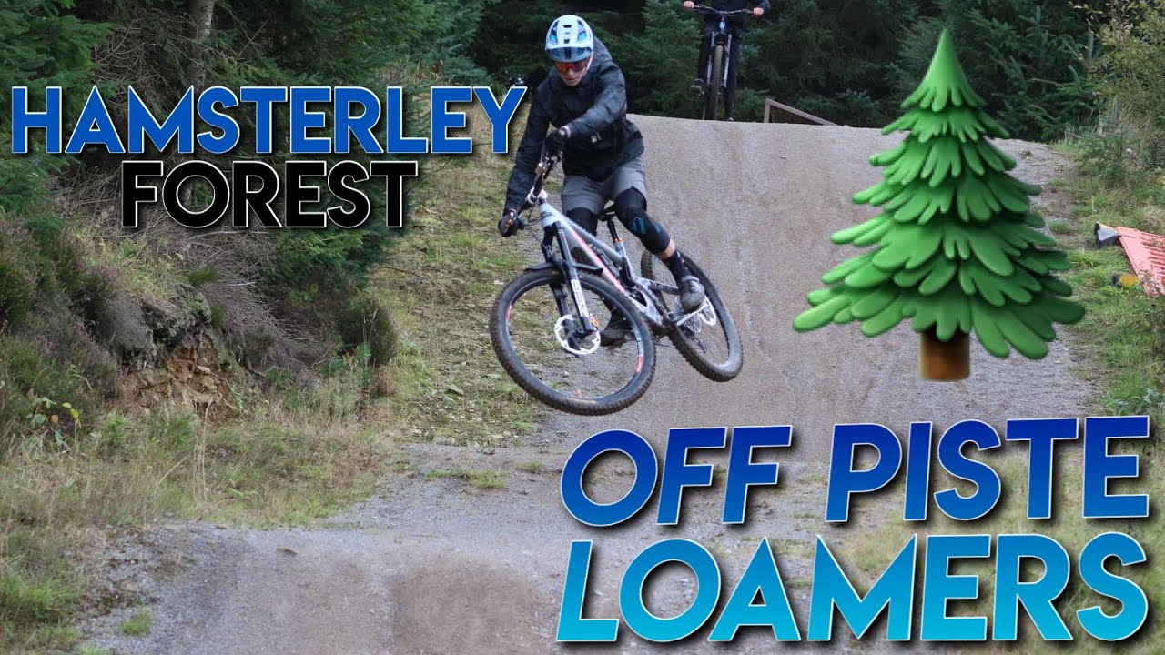 Riding FRESH Off Piste Loam Trails at Hamsterley Forest