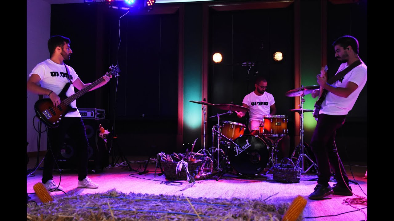 ALDEIA - Chaga (Ornatos Violeta) LIVE Cover