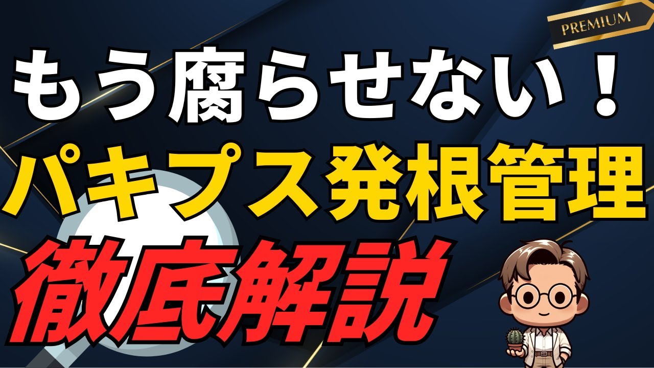 【パキプス発根管理】なぜ腐る？発根しない？塊根の王様を科学的に攻略する