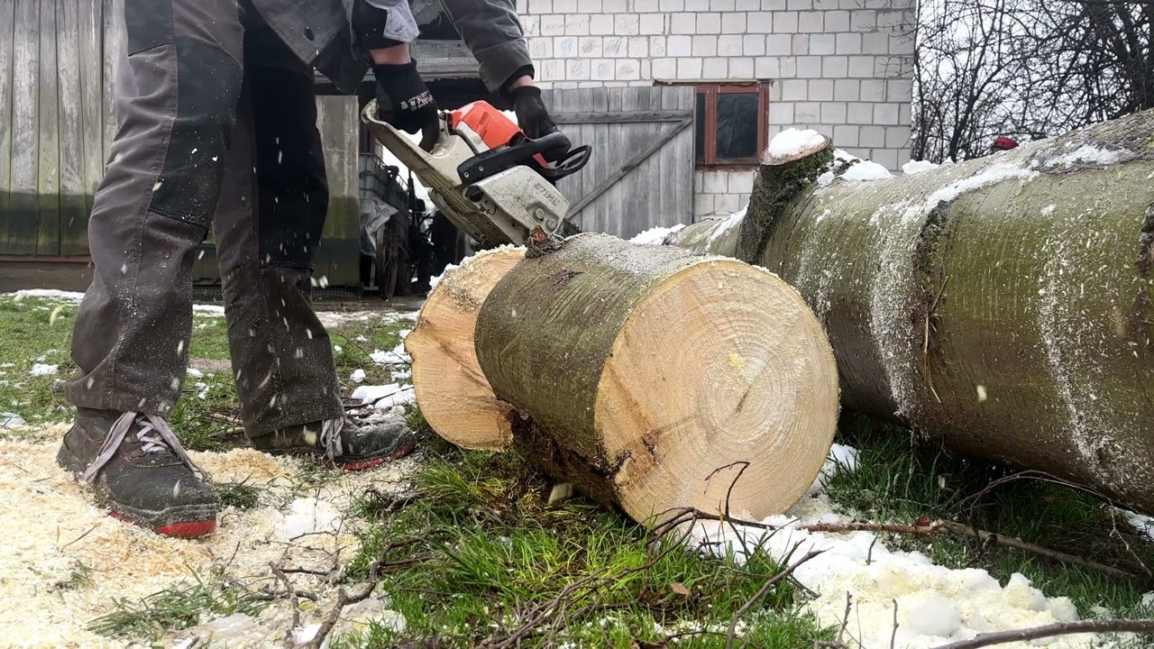 Cięcie Drewna Cz.2 Stihl MS 261c