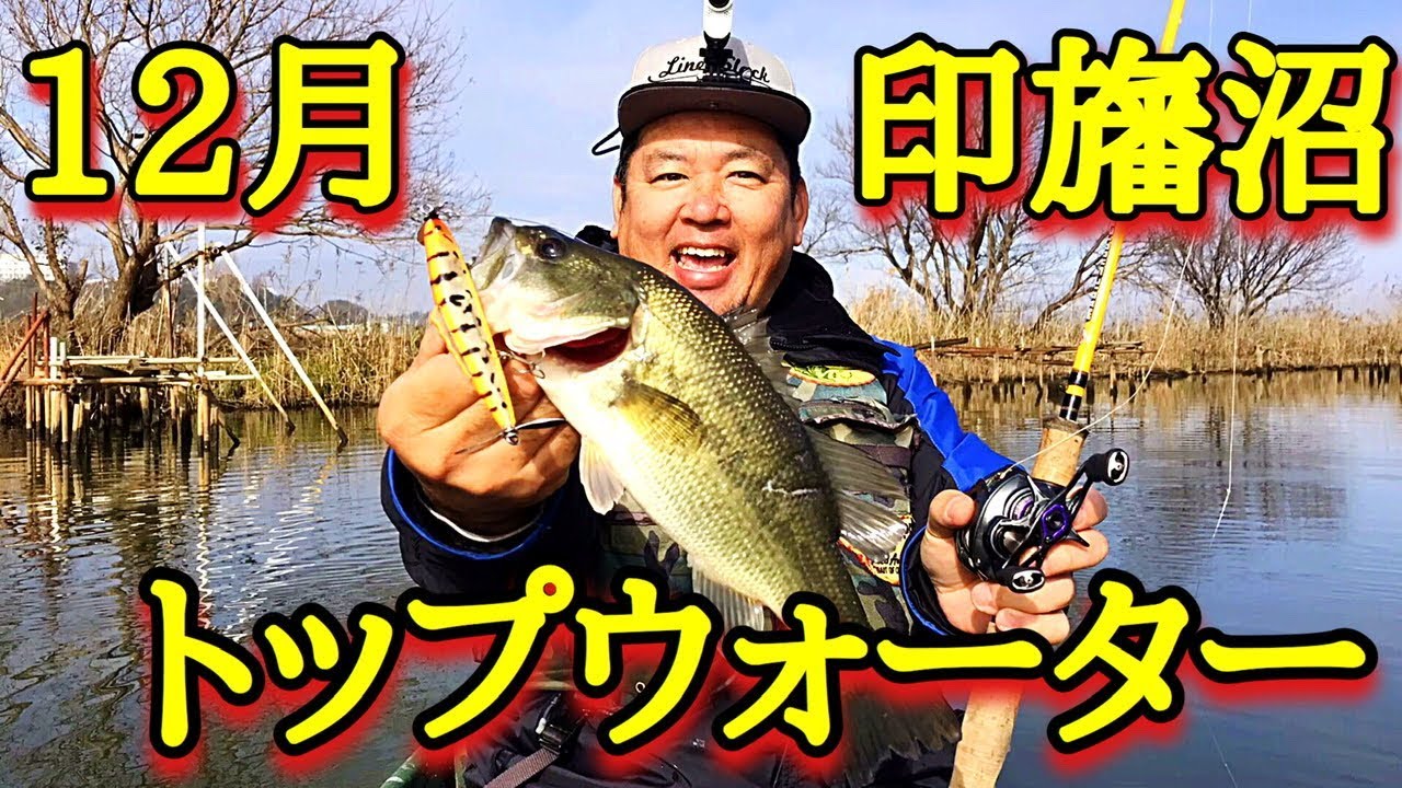 12月【印旛沼】冬のトップウォーター　ラインスラック topwater bass fishing
