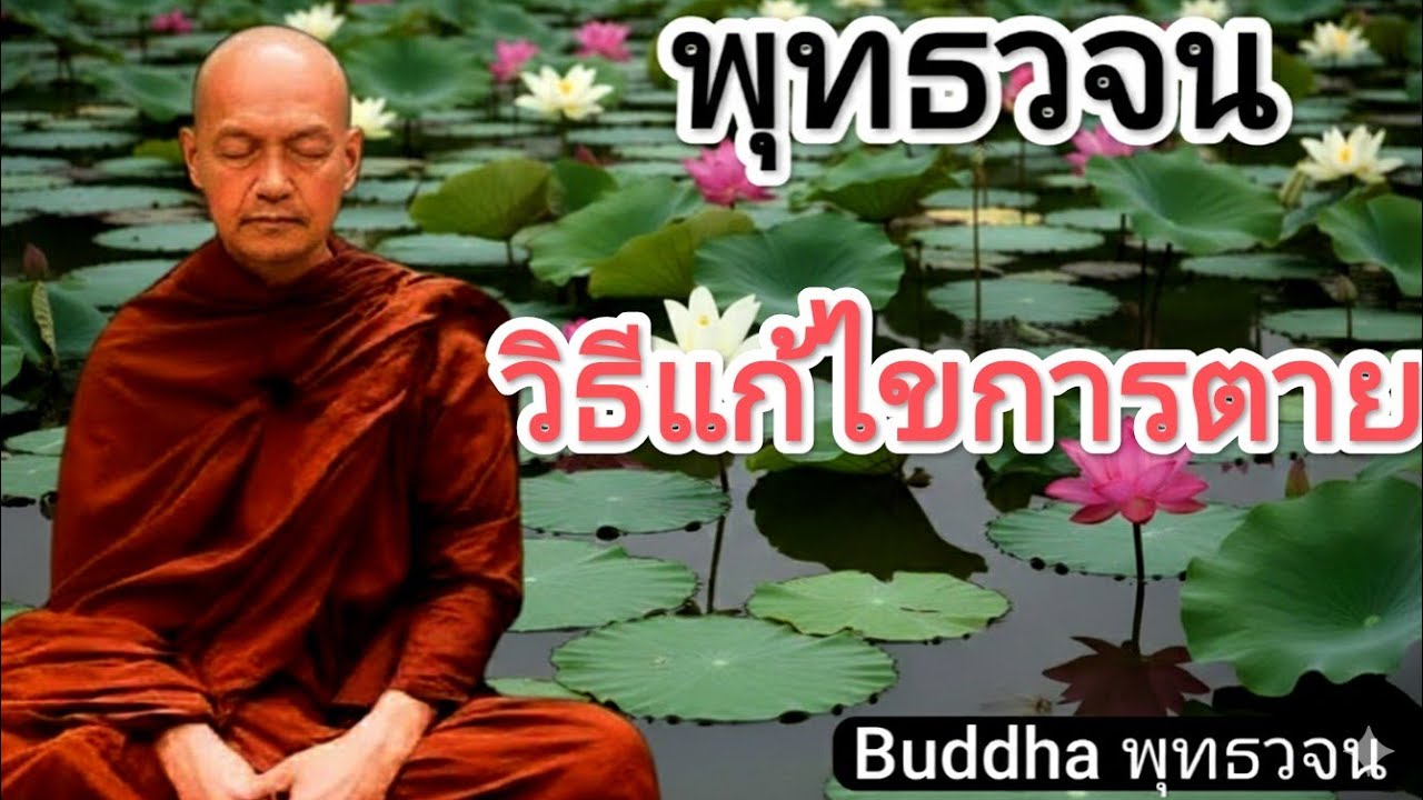 วิธีแก้ไขการตาย