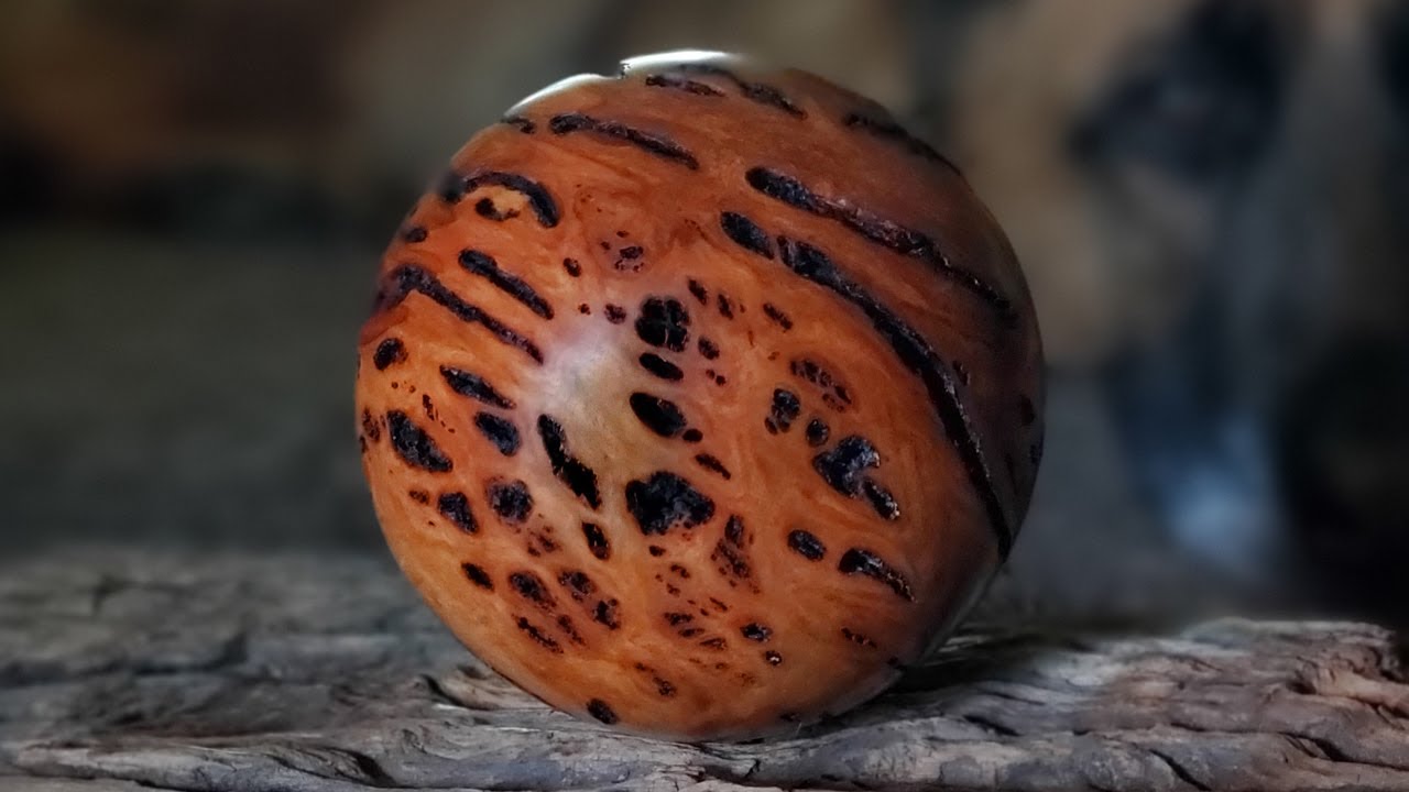 Spheres for Dummies