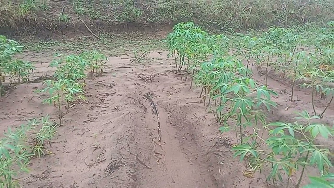 Muita água aqui no litoral da paraíba 😃