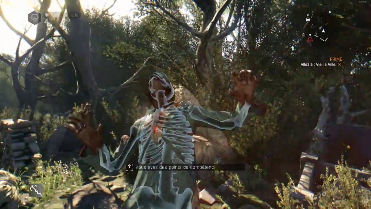 Dying Light The Following : tenue cr&acirc;ne mandala + peinture veuve noire