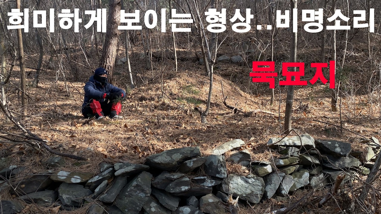 깊은 산속 귀신 출몰지 자정12시 비명소리와 희미하게 보이는… 국가권력급 공포 묵묘지 비박.