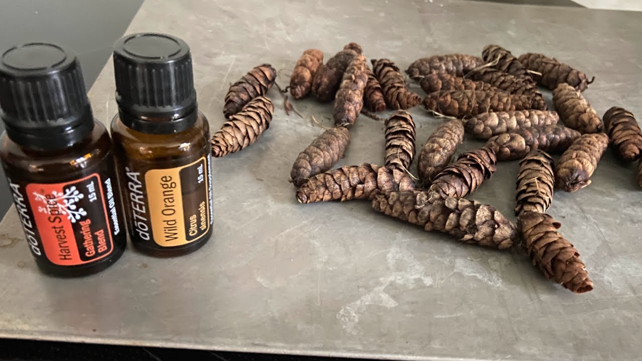 How to Make Scented Pinecones
