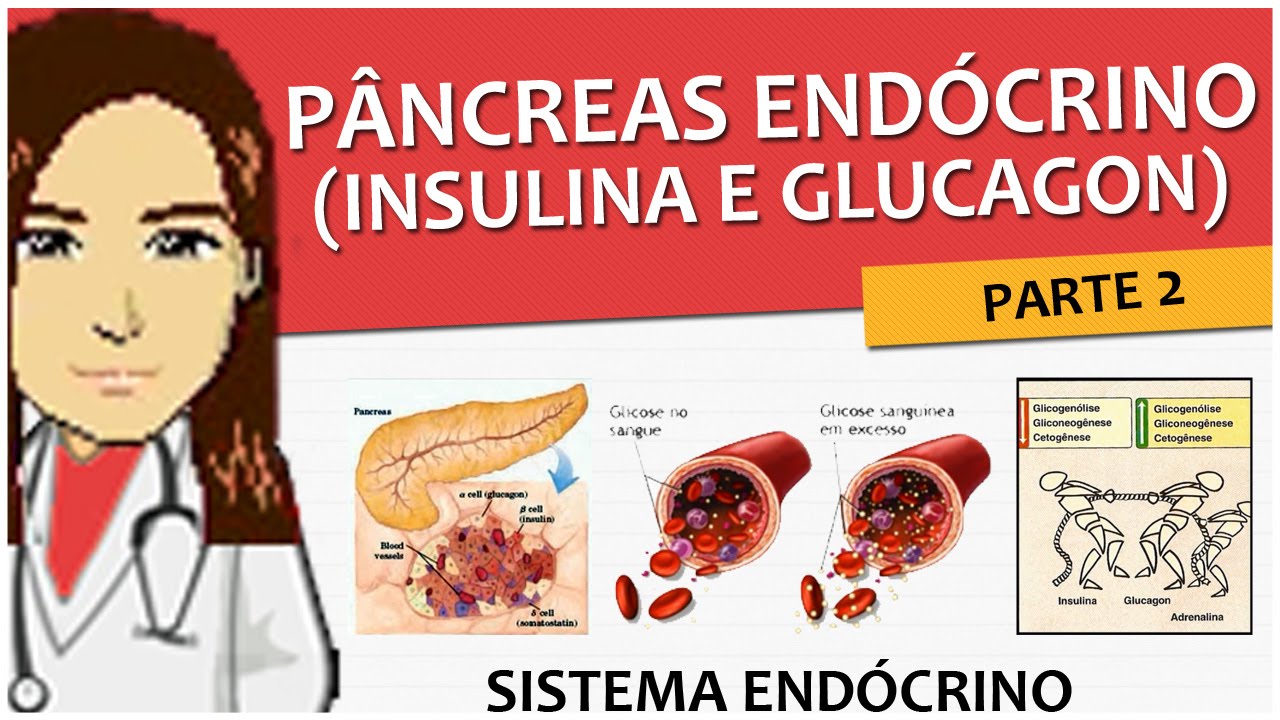 Sistema Endócrino 09- Pâncreas Endócrino- Fisiologia (insulina e glucagon) - Vídeo aula
