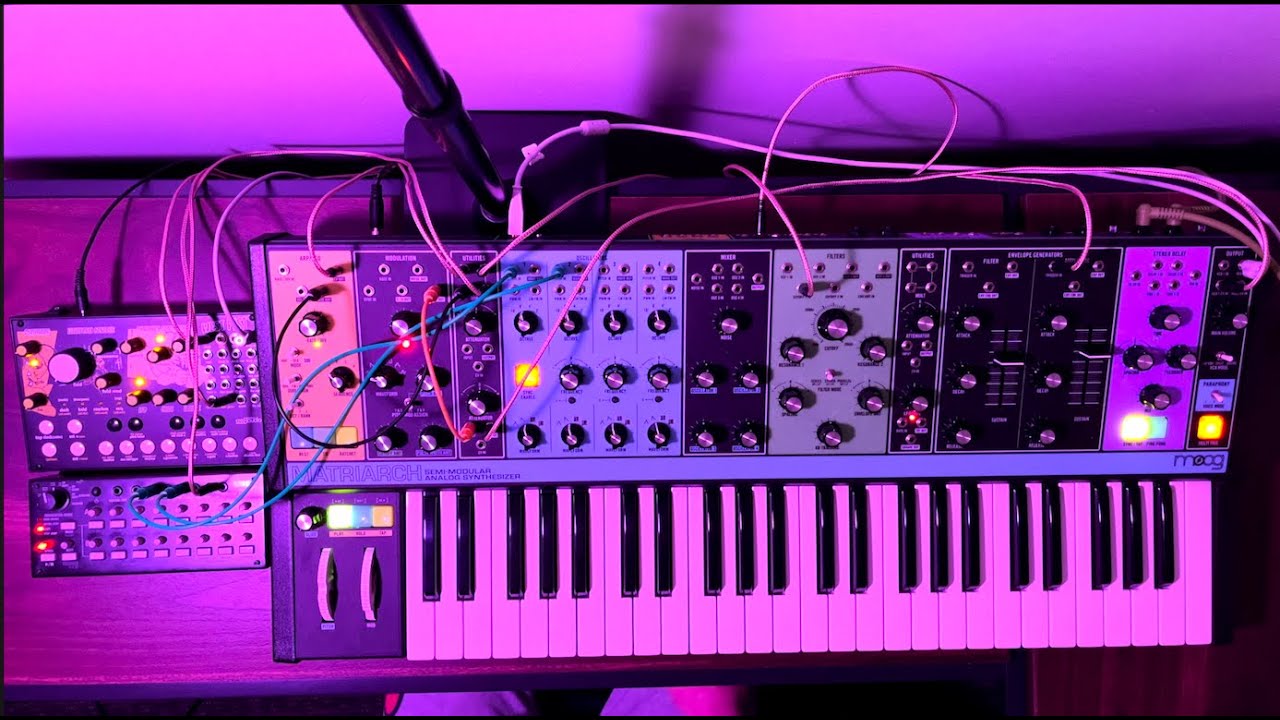 West Pest Test Ambient Minimalism (with a Moog Matriarch)