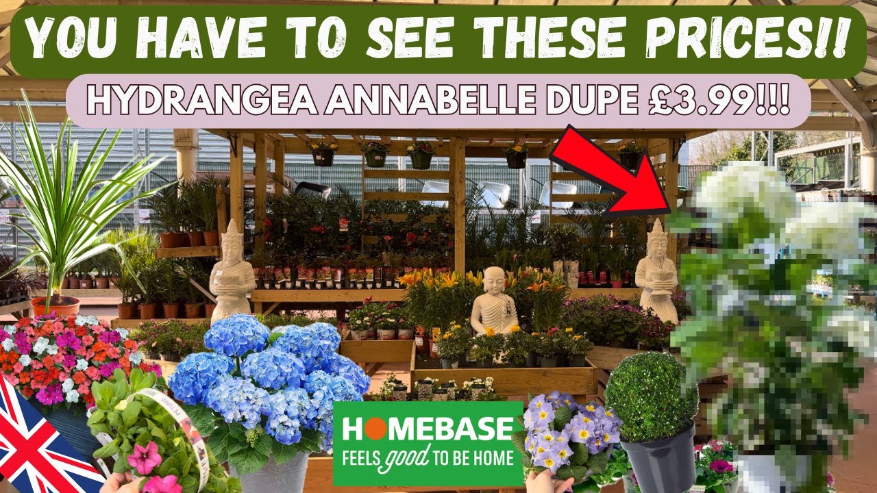 NEW Homebase Garden Centre At THE RANGE 🌸 PLANTS | £3.99 Hydrangea Annabelle DUPE!  2025 🌿 Part two