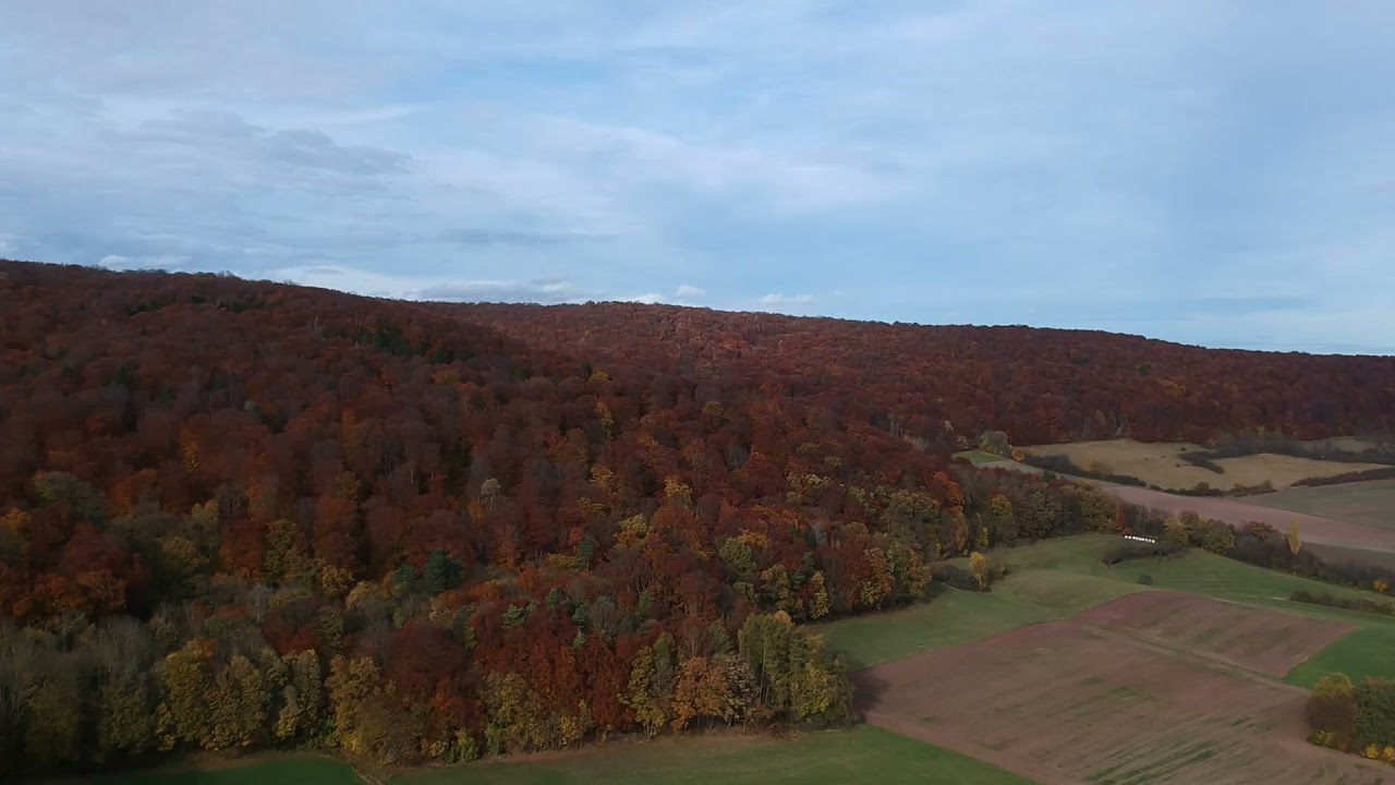 Landecker Berg im Herbst 2021