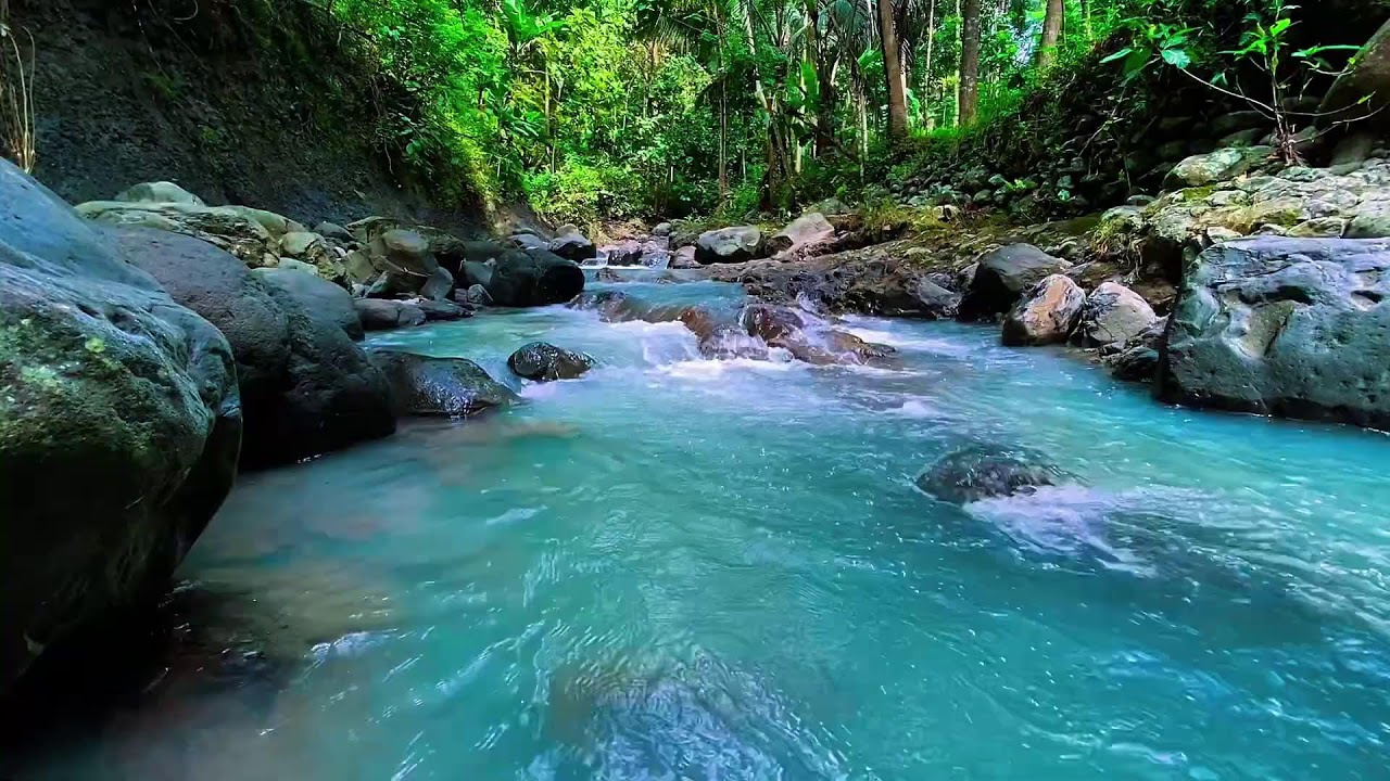 Mountain Stream Natural Water, Forest River Sounds, Sleeping