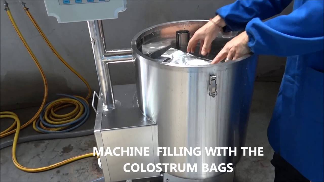 COLOCARE V 016. HOW TO HAVE STRONGER AND HEALTHIER CALVES