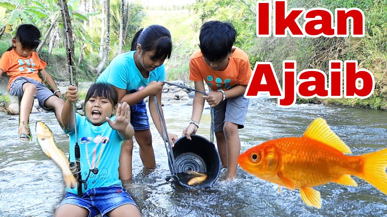 drama anak ! ikan ajaib