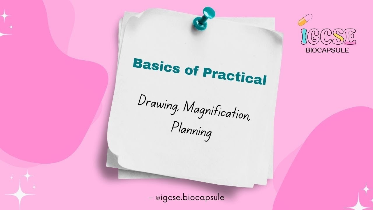 Basis of Practical Paper 6: IGCSE OL Biology _  Drawings, Magnification, Planning an investigation