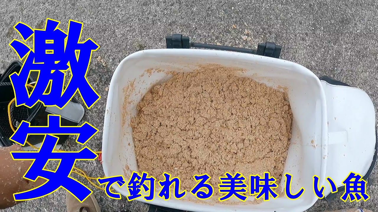 【激安100円撒き餌】でバンバン釣れる！美味しい魚