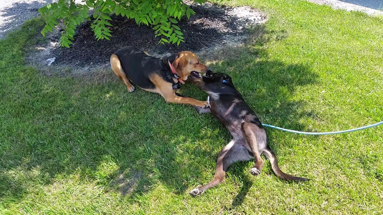 Brother and sister reunite