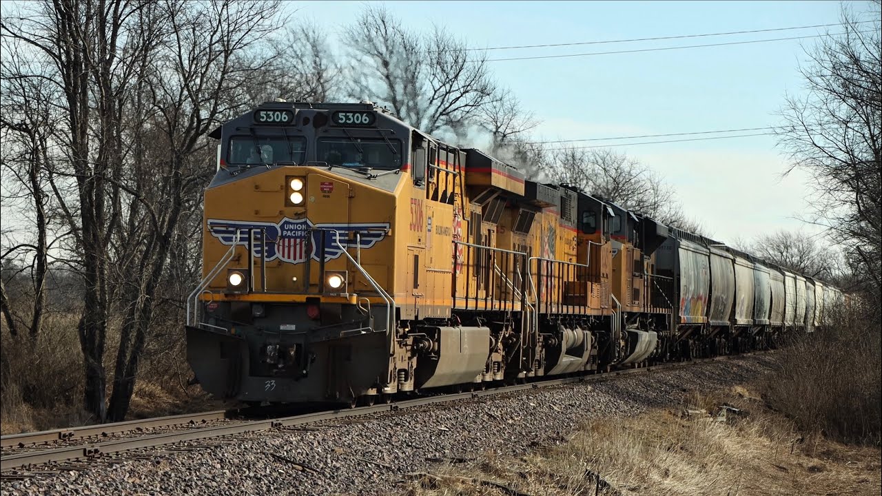 UP 5306 leads Evansville grain empties at Janesville WI