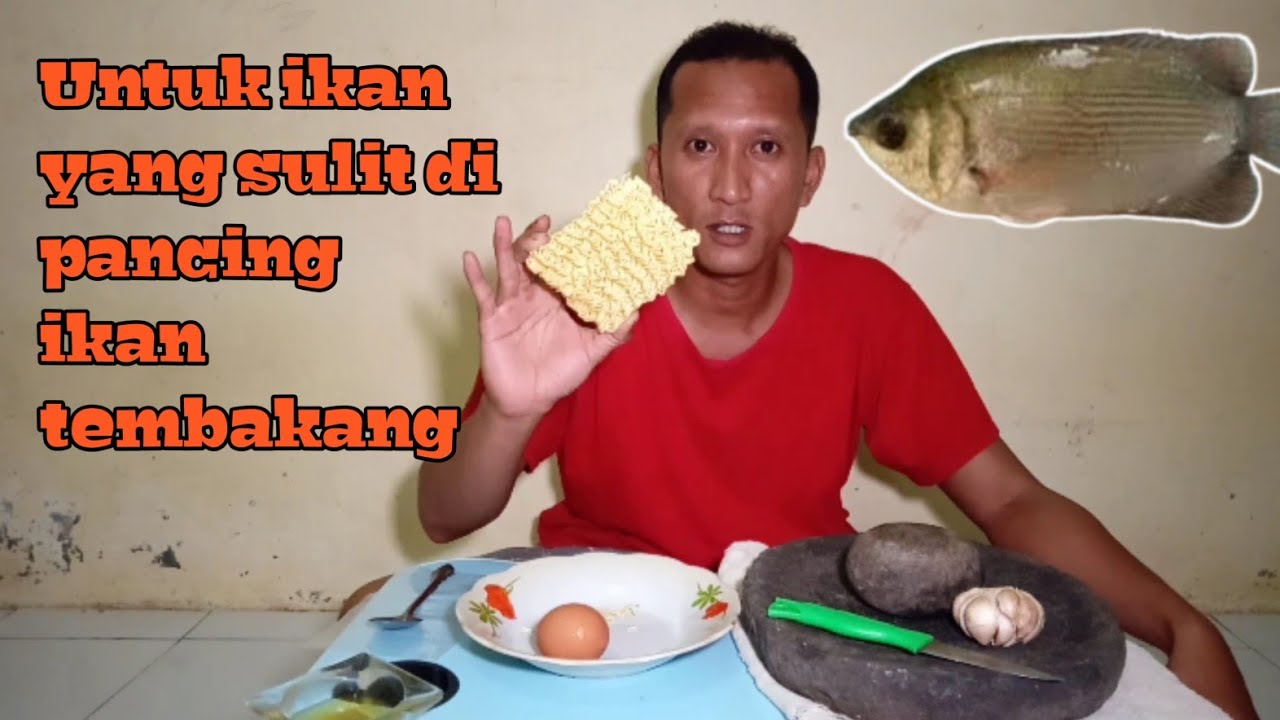 Meracik umpan ikan Tembakang yang susah di pancing ll Tutorial Mei instan