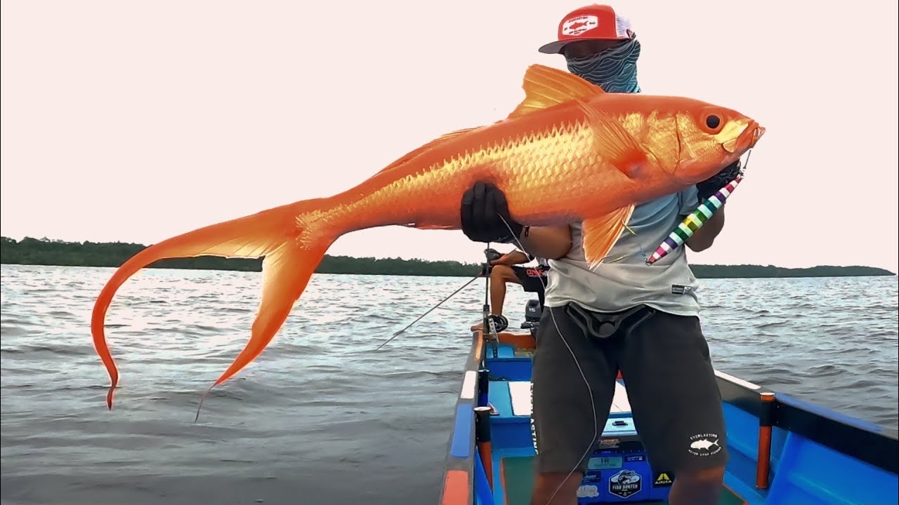 FULL STRIKE SPECIES BERBEDA DI SATU SPOT || TEST ROD BARU TEAM SEAHAWK OCEAN INFINITY PE4