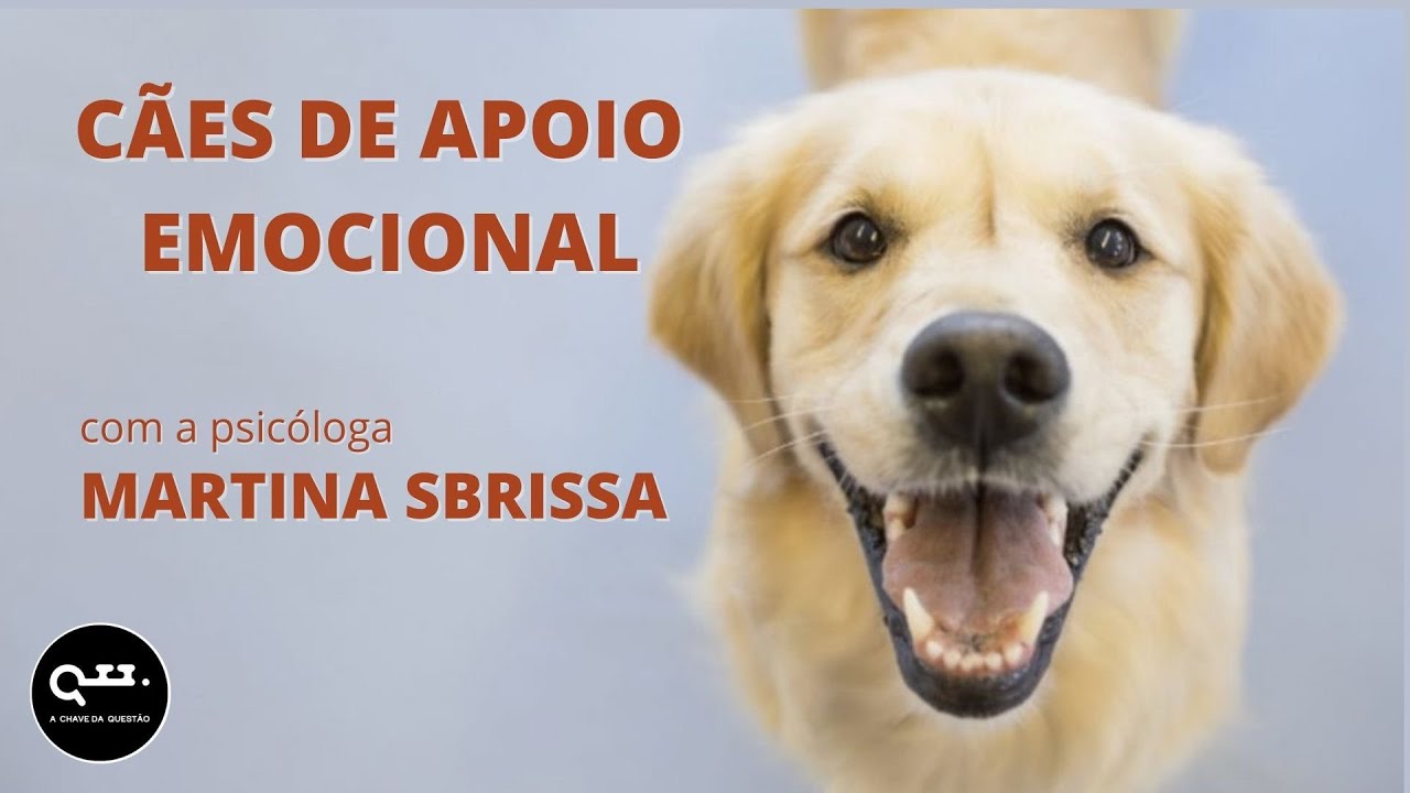 Cães de Apoio Emocional: técnicas e como atuam