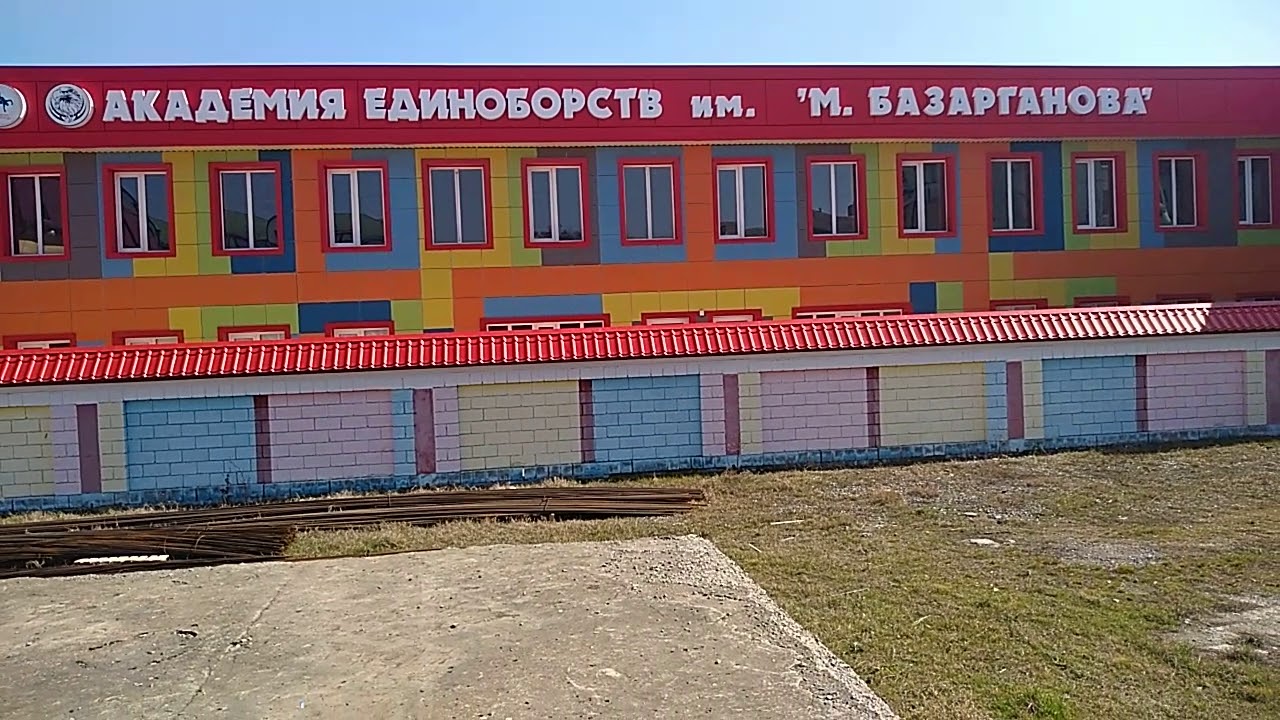 Базарганова. Академия Единоборств