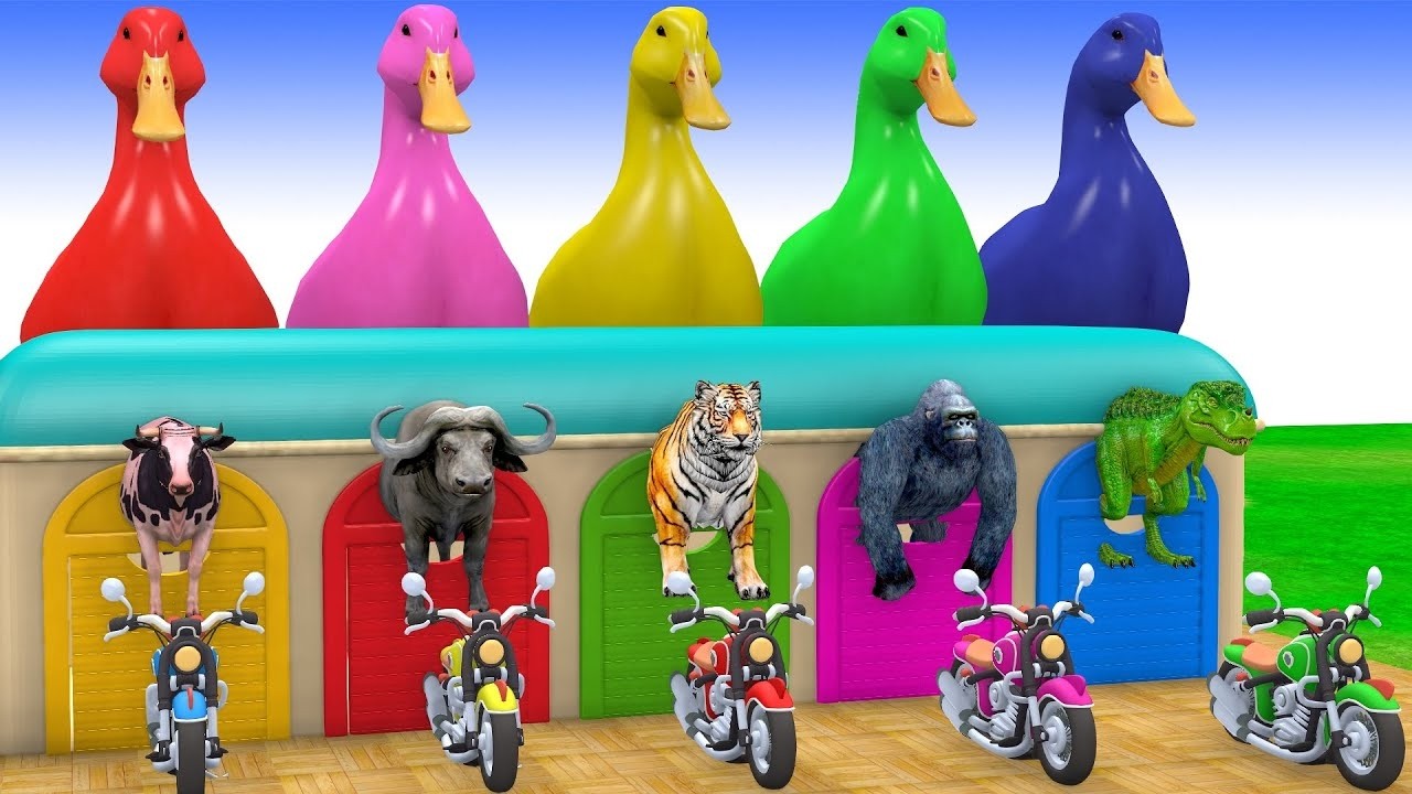 Long Slide Game With Cow Elephant Gorilla Hippopotamus Tiger 3d Animal Game Funny 3d AnimalsVideo
