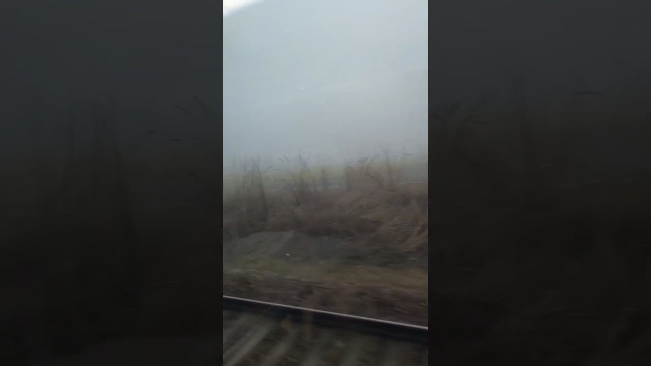 lost in the fog,🤯found in the moment🤯😮WFI 