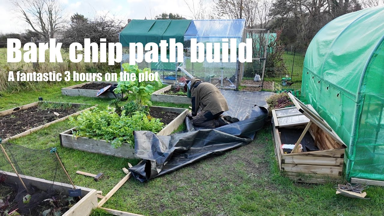 Bark chip path build and a fantastic 3 hours on the plot