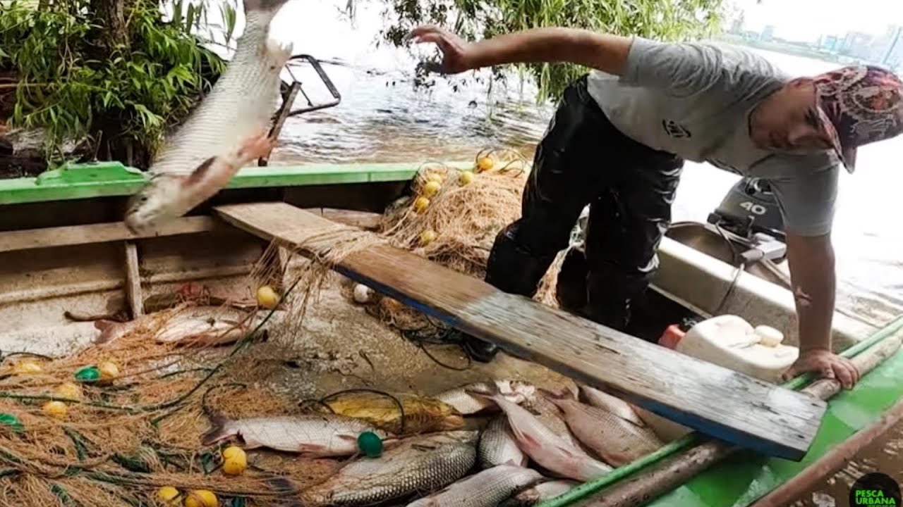 PESCA Y COCINA, GRANDES PECES con REDES Y SEÑUELOS. pesca urbana
