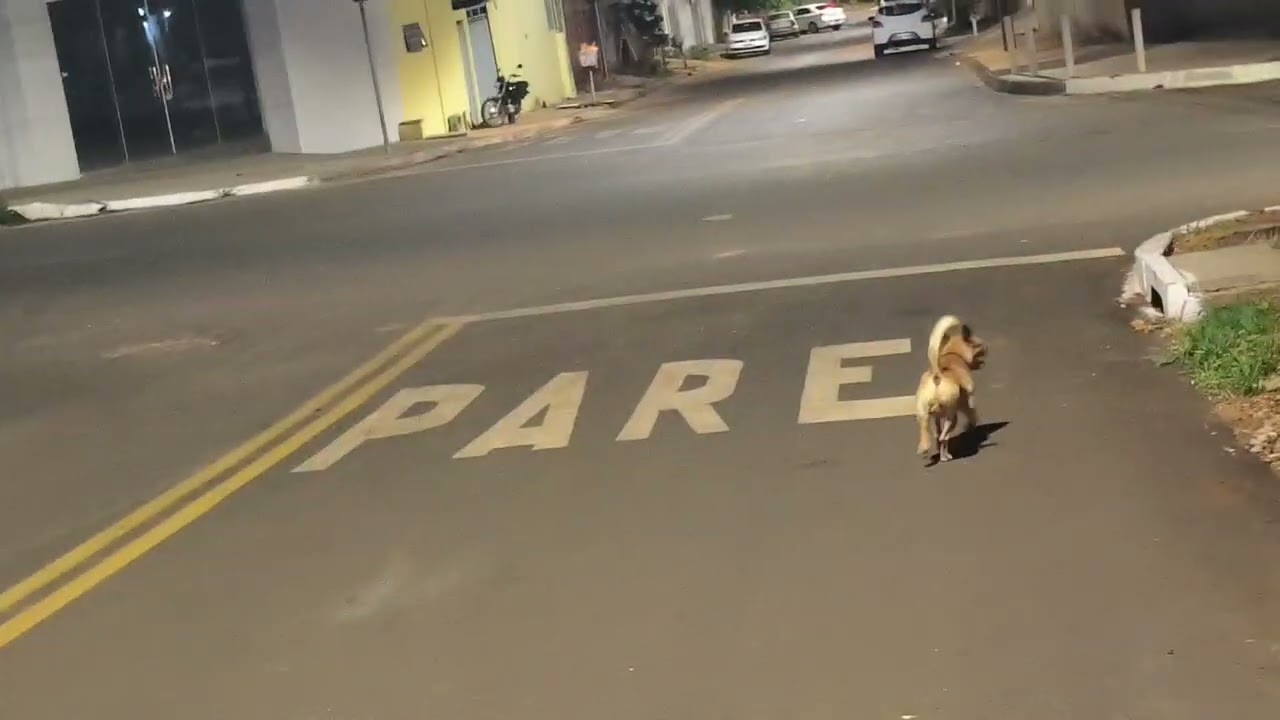 📶🔥 Aumente o Alcance do Controle do Portão Garen! Dica Rápida e Eficaz 💪