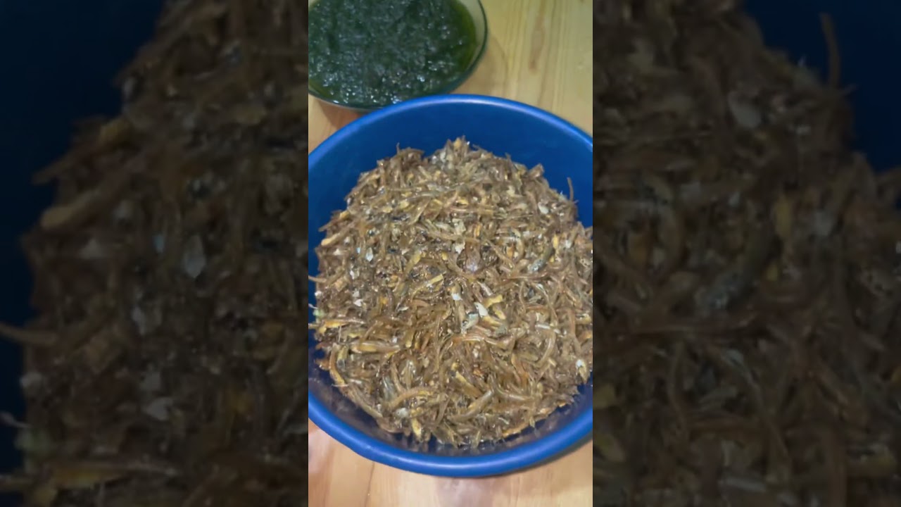 Sekali2 Masak Pass Sahur...!