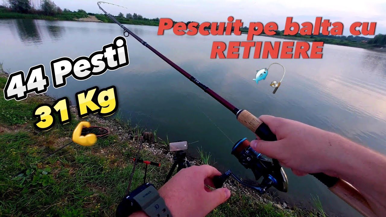 Pescuit la feeder pe balta cu Retinere ! Am prins 44 pesti la tehnica method - 31 kg Crapi si Carași