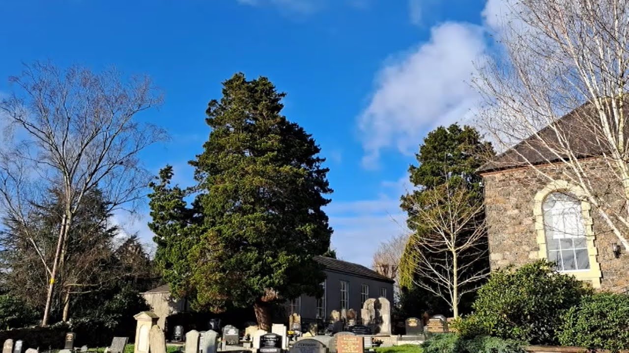 Easter Reflections, Dunmurry