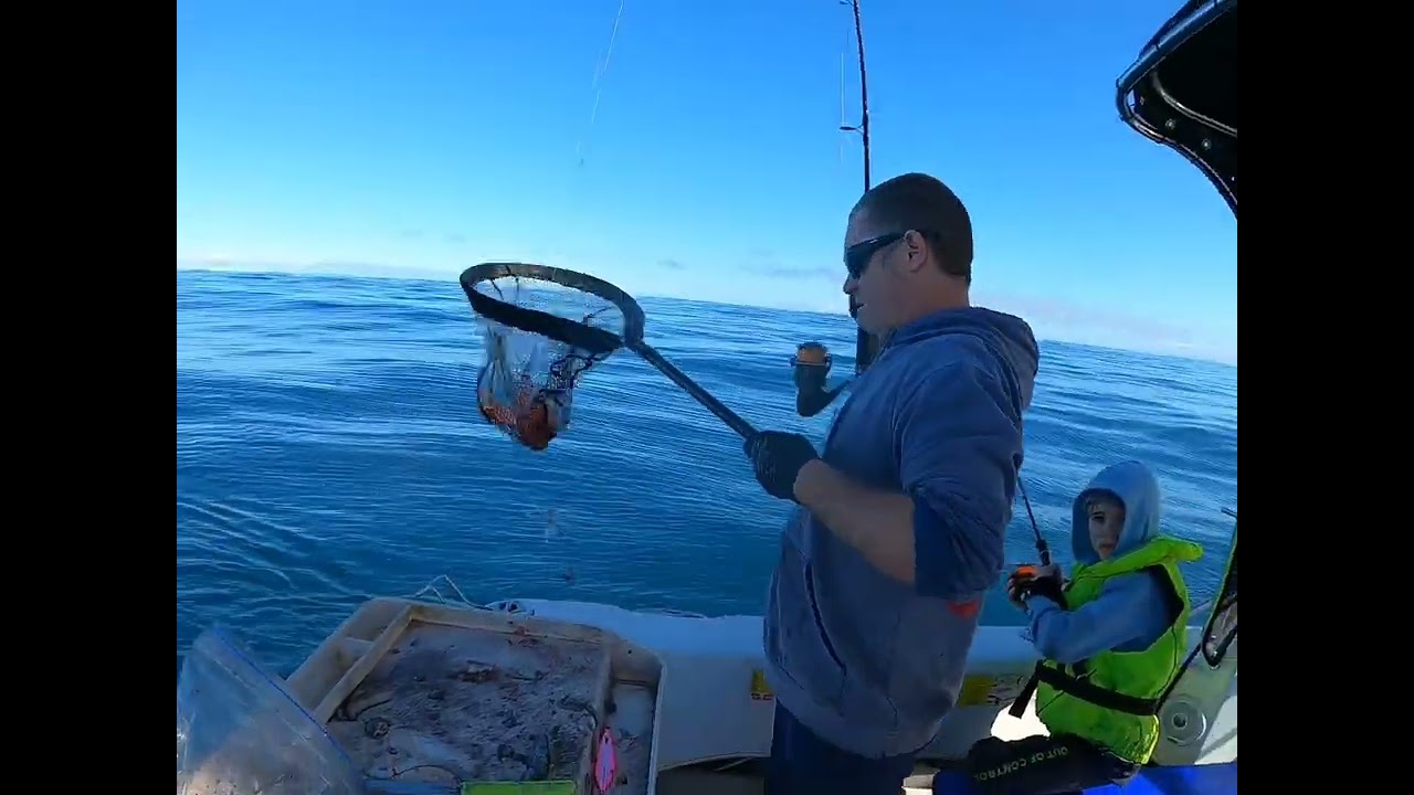 Marion Bay Fishing Ballistic Charters 2023