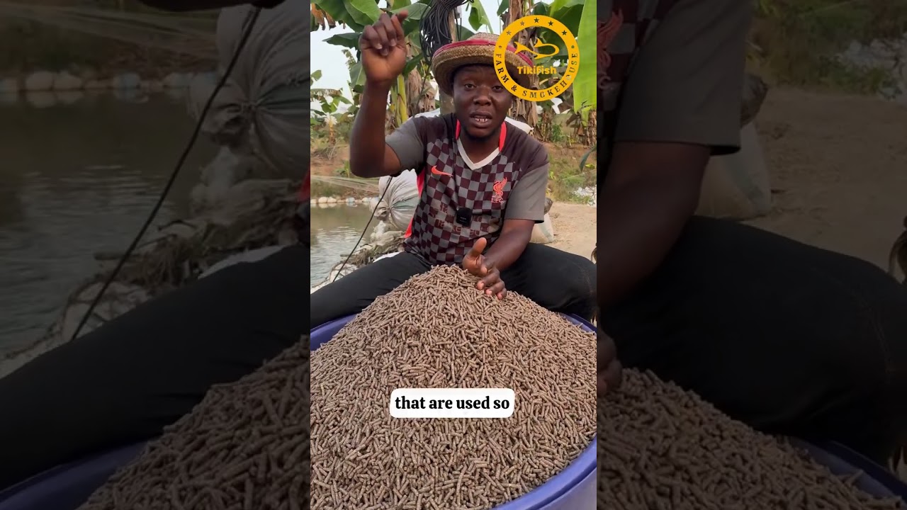 Transitioning to Locally Produced Catfish Pellets for Cost Savings and Better Results
