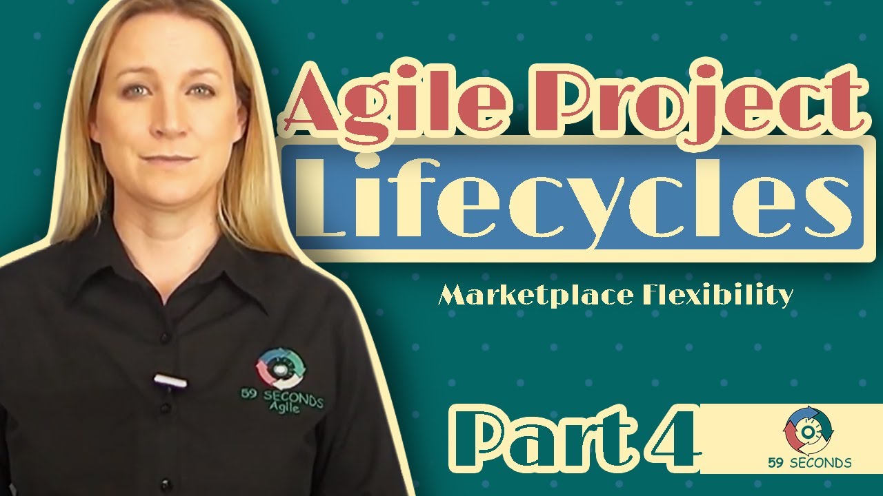 Marketplace Flexibility and the Agile System Development Life Cycle