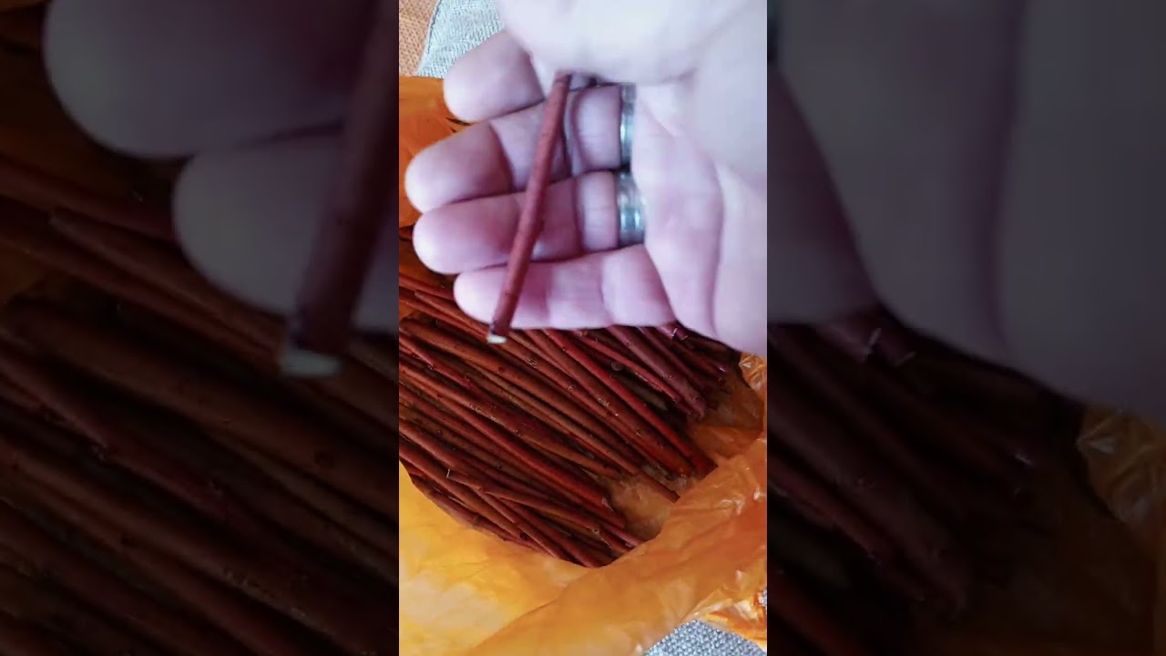Проверяю черенки голубики 🫐Упаковываю ваши заказы.