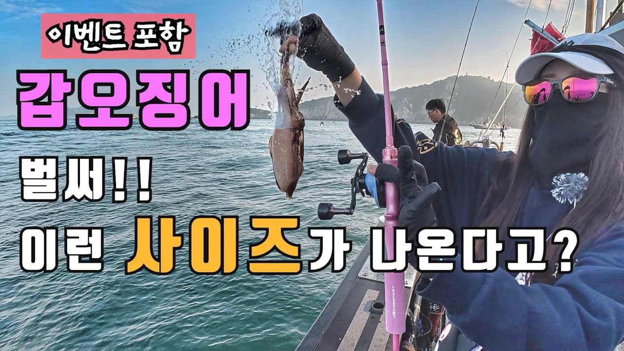 갑오징어 낚시 벌써 이런 사이즈가 나온다고? 올해는 빠르다!! (이벤트 포함)