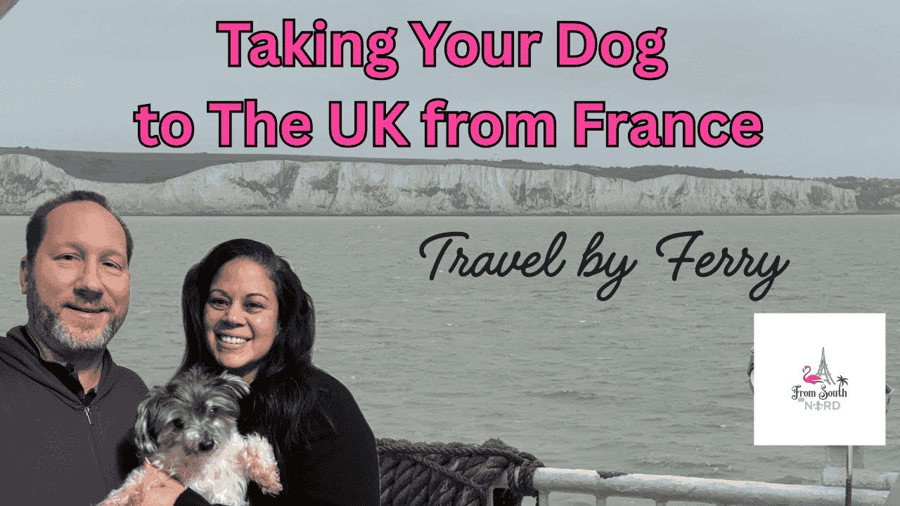 Taking Our Dog from Lyon to London by Ferry | Complete Guide: Boarding, Onboard Tour & UK Pet Travel