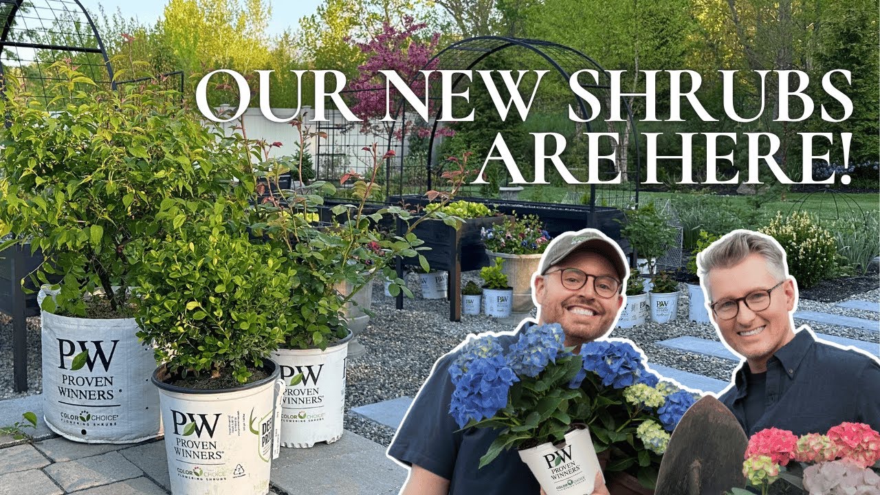New Shrubs You’ll Want This Year 🌿 Proven Winners Haul + Garden Plans