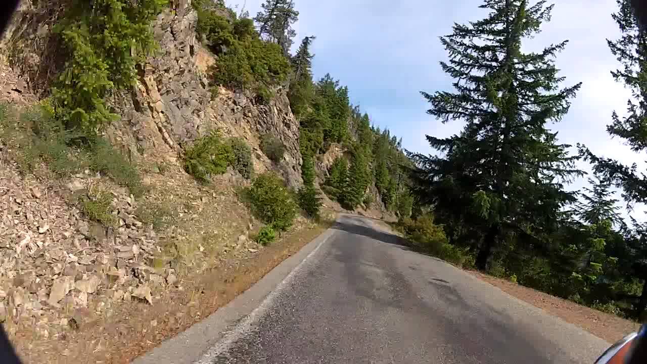 bear camp road