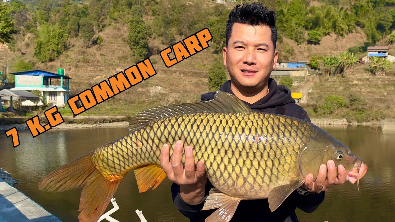 Fishing with Tiyari Net | तियारि जालमा माछा समात्दै