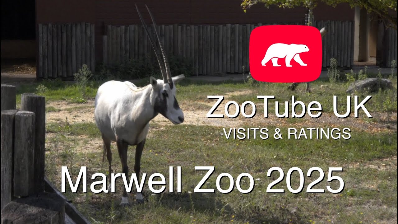 Marwell Zoo 15th August 2025