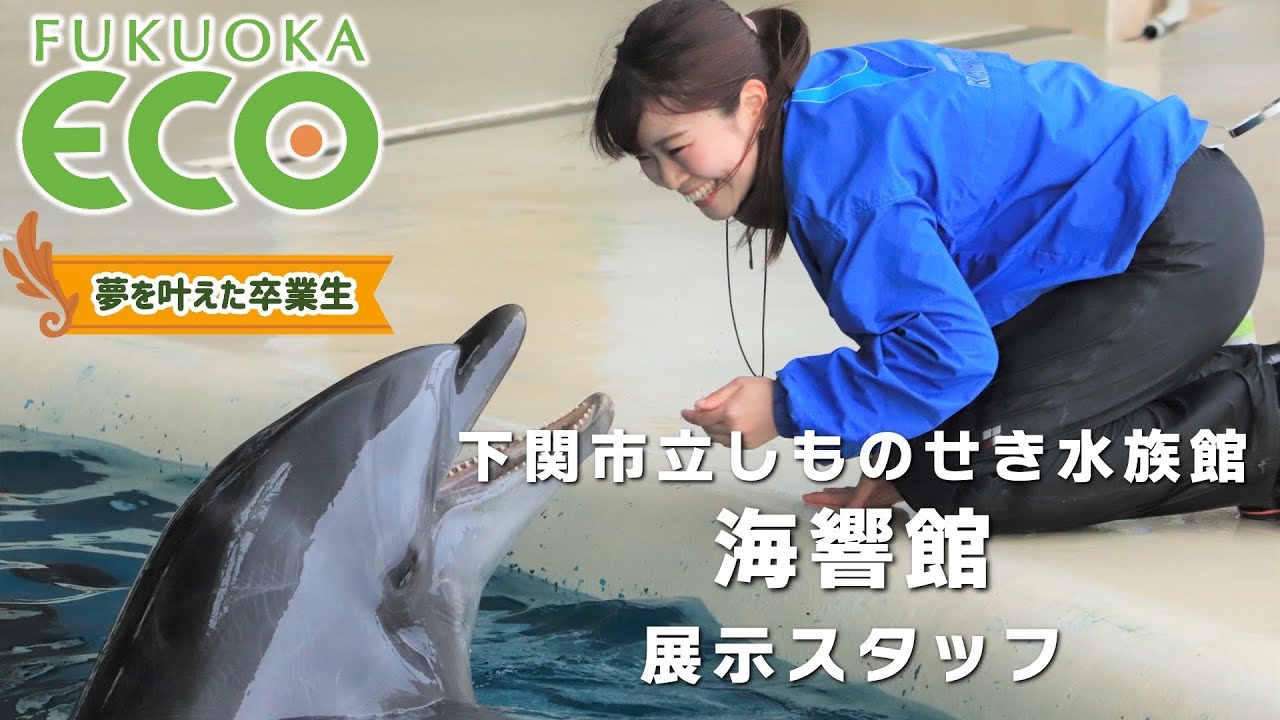 【ドルフィントレーナー】下関市立しものせき水族館 海響館【夢を叶えた卒業生】