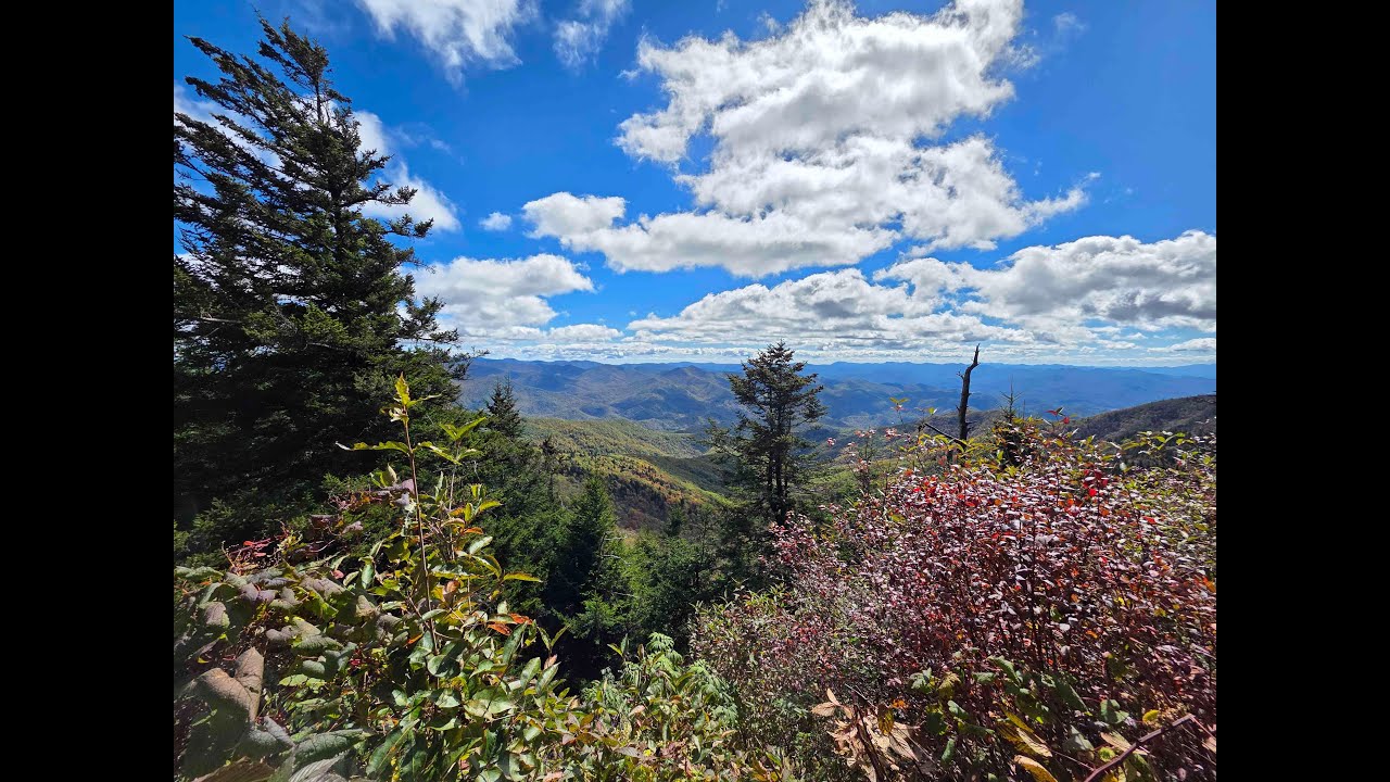 LIVE Waterrock Knob Blue Ridge Parkway NC