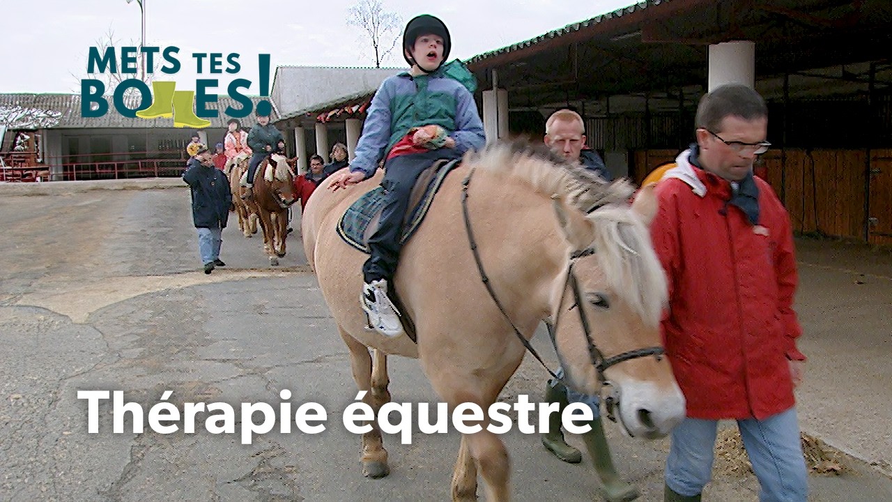 Cheval et handicap : Quand l&rsquo;&eacute;quitation transforme des vies