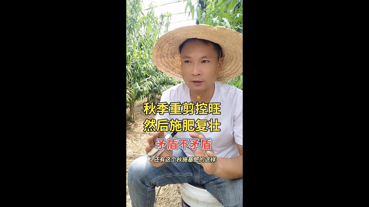 果树种植理性投资，获取收益最大化#抖音助农 #新农人计划2023 #来抖音学农枝 #农业种植 #金牌苗木人 @李洁 临风果业
