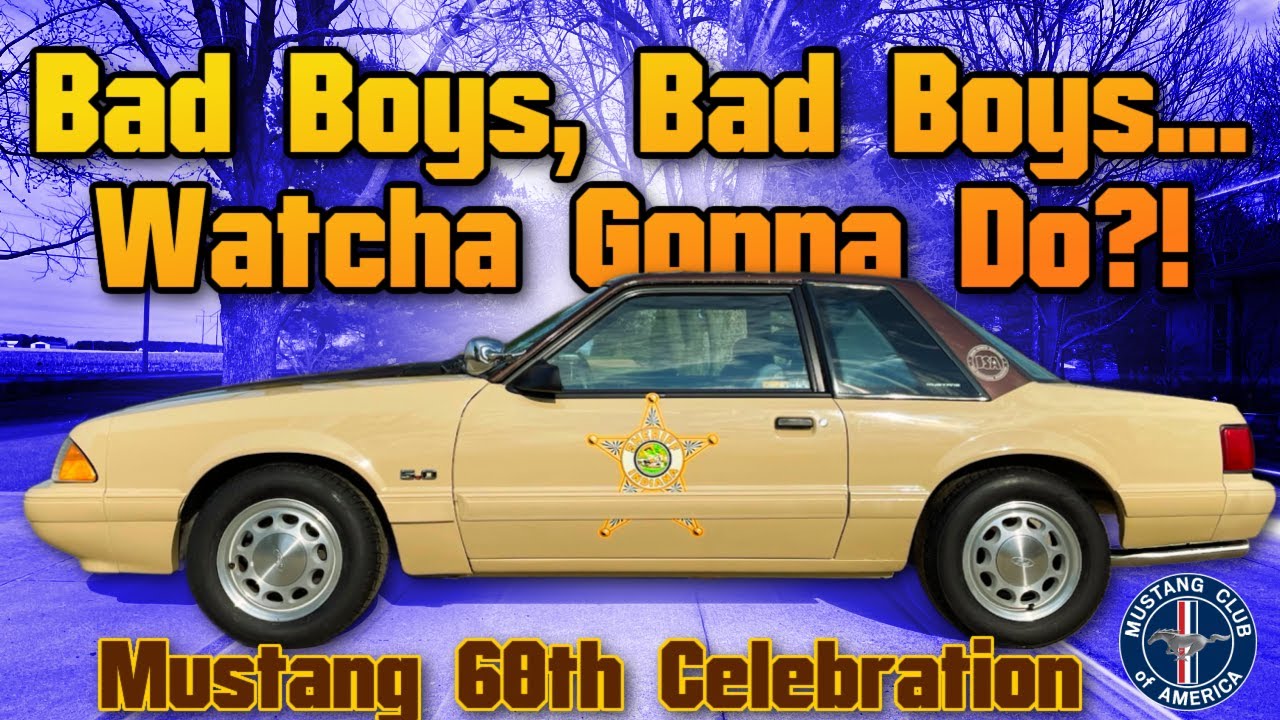 The Most Unique SSP Mustang Ever!