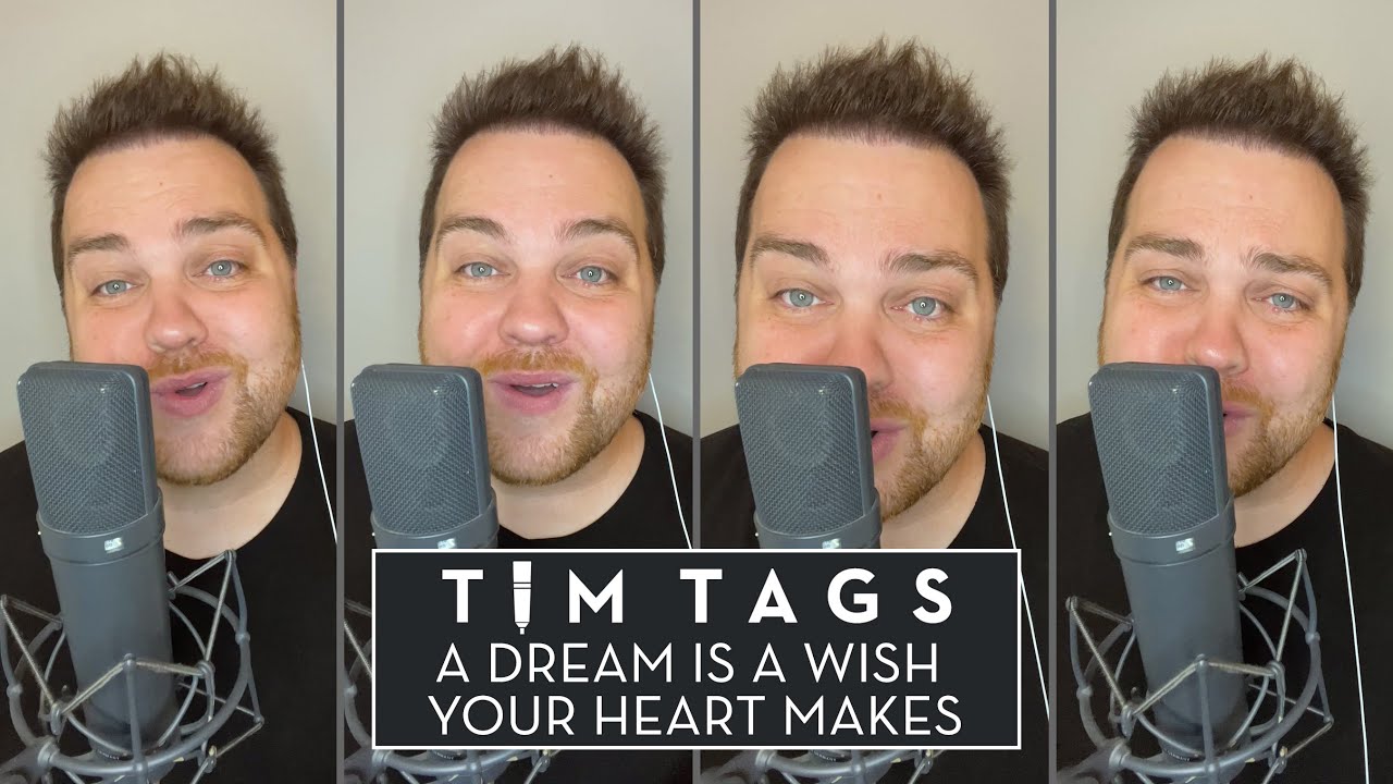 A Dream is a Wish Your Heart Makes | Disney Tag